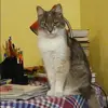 Отзыв от Алина Мешкова